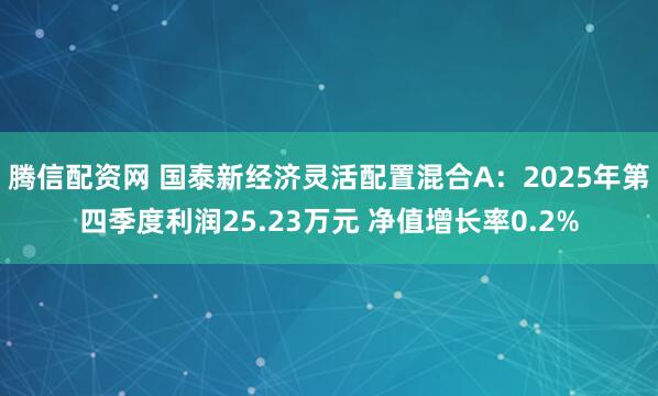 腾信配资网 国泰新经济灵活配置混合A：2025年第四季度利润25.23万元 净值增长率0.2%