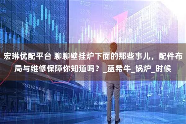 宏琳优配平台 聊聊壁挂炉下面的那些事儿，配件布局与维修保障你知道吗？_蓝希牛_锅炉_时候