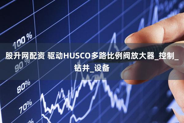 股升网配资 驱动HUSCO多路比例阀放大器_控制_钻井_设备